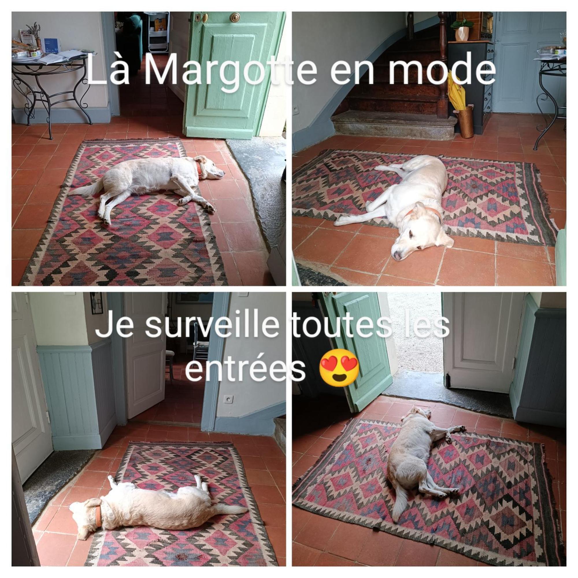 Baladous Acomodação com café da manhã Montgaillard-de-Salies Exterior foto